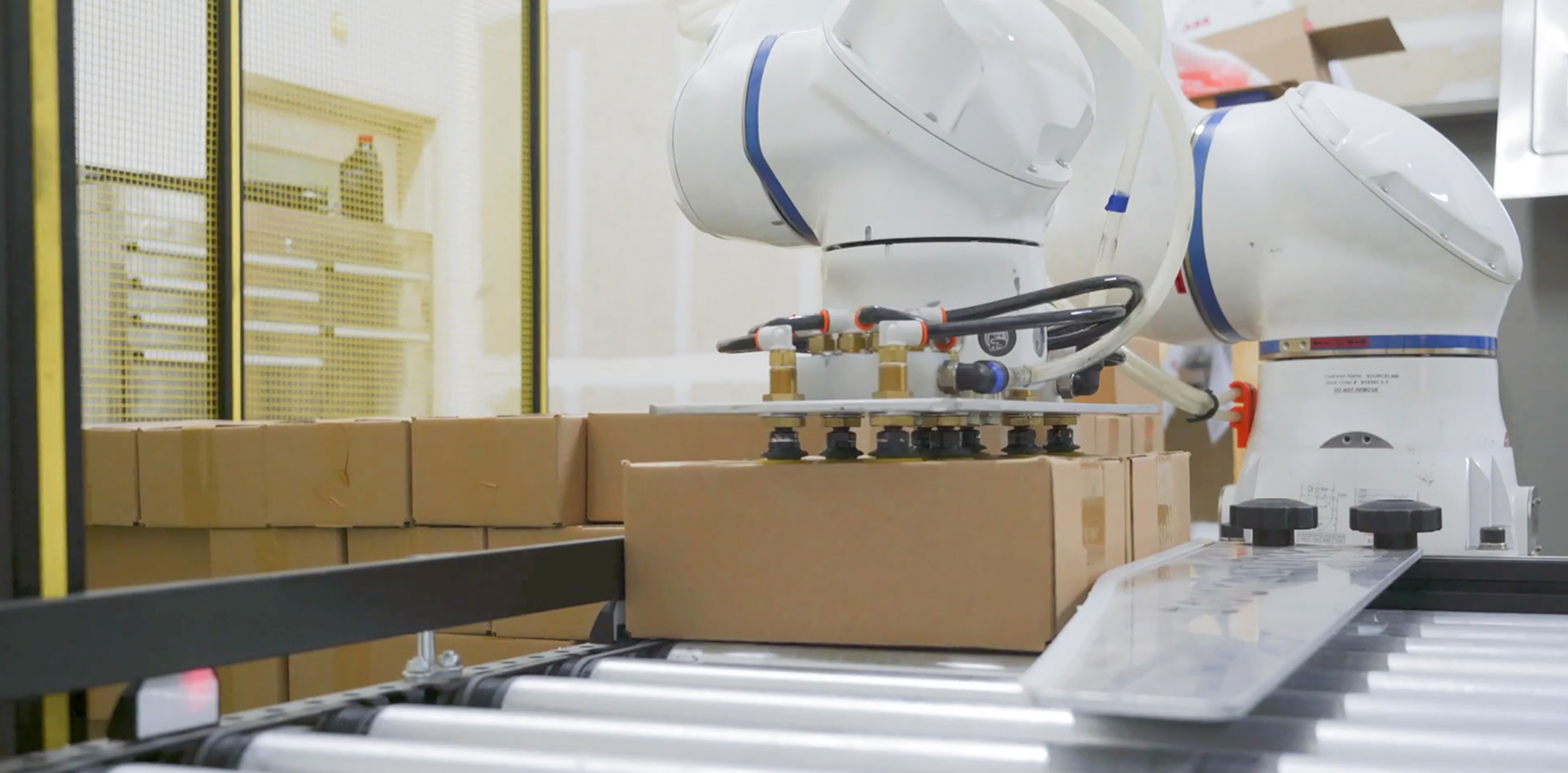 Automate Parcel Mixed-Case Palletizing Operations